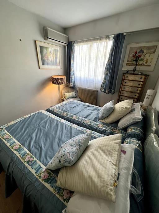 Grande Capacite Apartment Cannes
